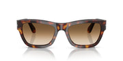 Persol womens Po0091s Butterfly Sunglasses